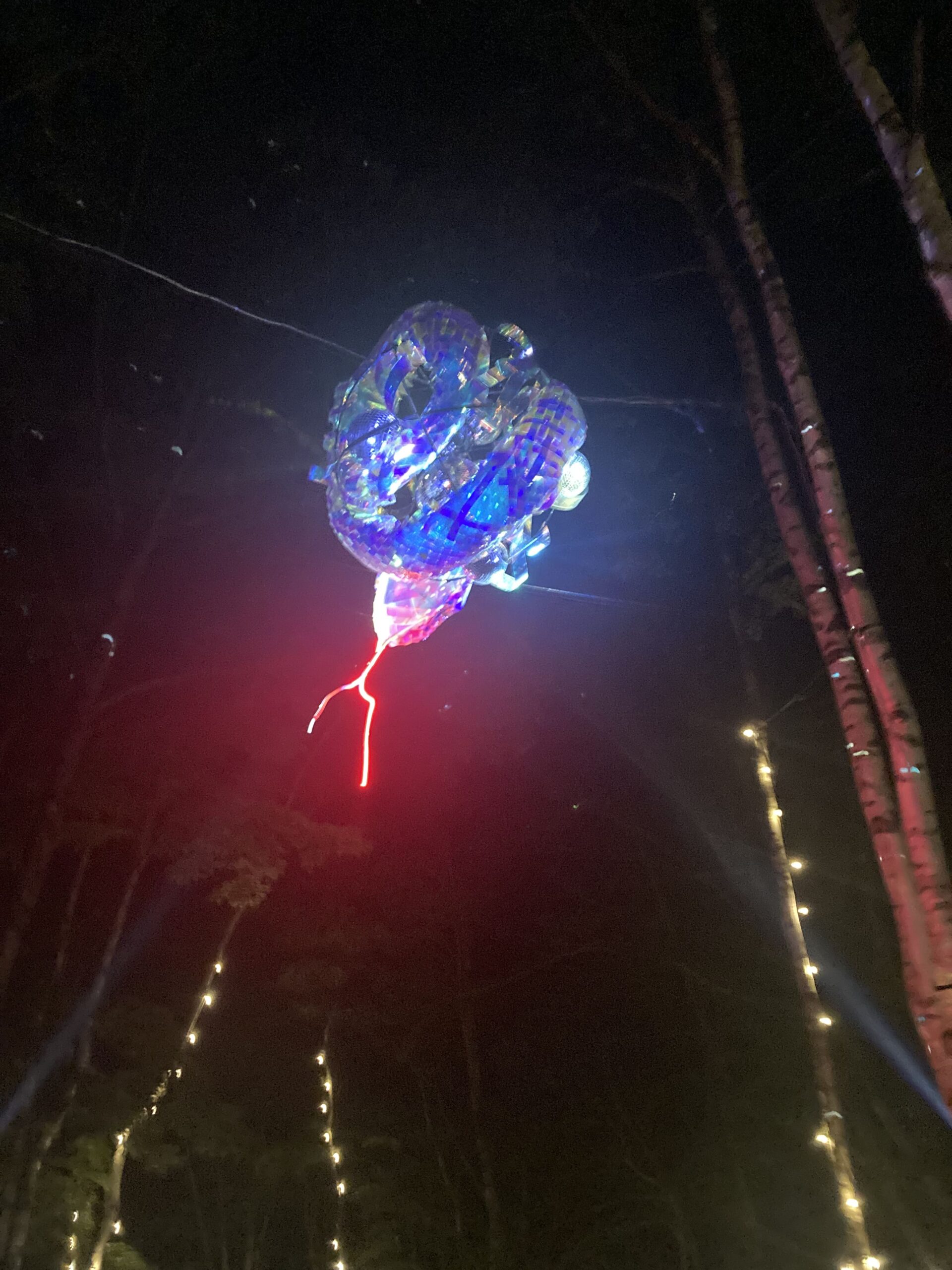 フジロック2025のハイライトを写真で振り返る 写真その3